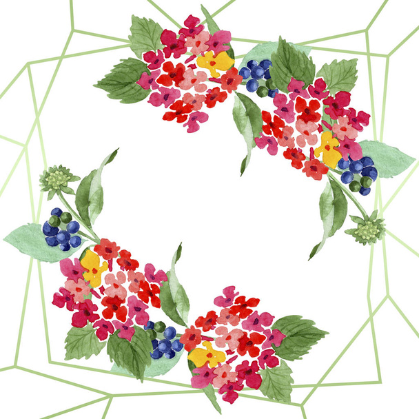 Red lantana floral botanical flowers. Watercolor background illustration set. Frame border ornament square. - Foto, imagen