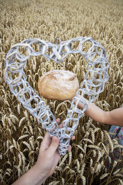 Kori, jossa on leipää vehnän korvien taustalla. Leipomotuote
 - Valokuva, kuva