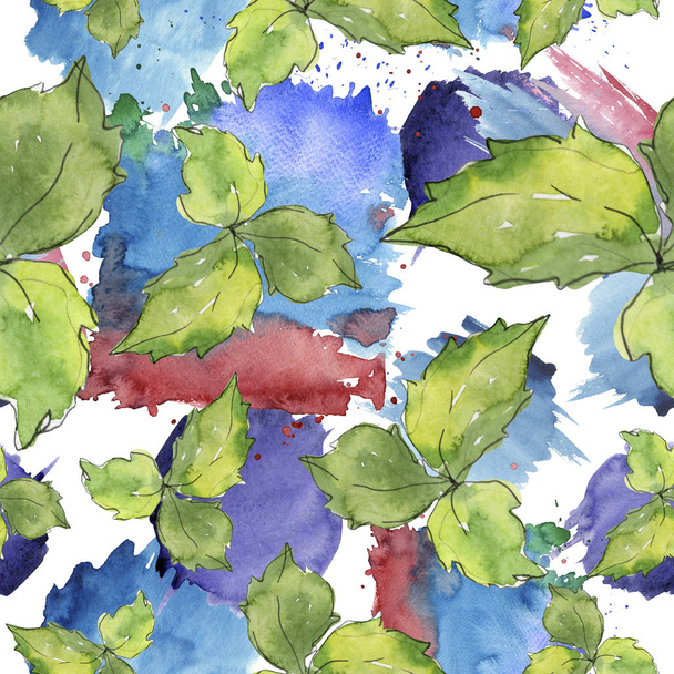 Green basil leaves fresh healthy food. Watercolor background illustration set. Seamless background pattern. - Фото, изображение