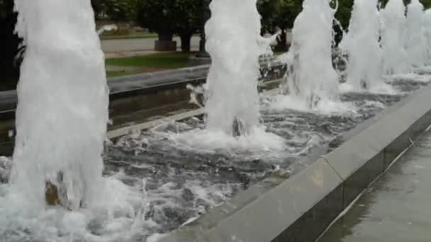 Pieniaste strumienie wody rosną i opadają. Aleja fontann w parku miejskim. Zwolnionym. Na tle drzew magnolii - Materiał filmowy, wideo