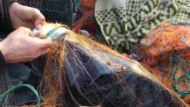 Fisherman Repairs Fishnets - Footage, Video