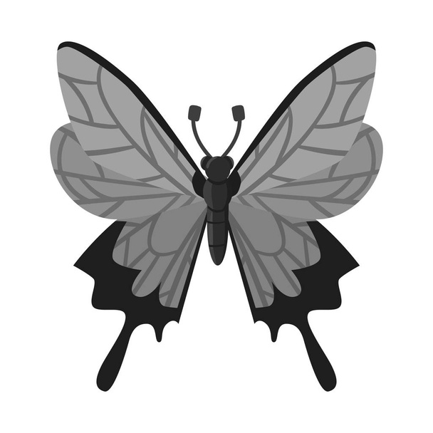 Isolated object of butterfly and wings icon. Collection of butterfly and wing stock symbol for web. - Vektori, kuva