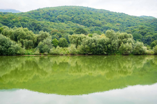 Peaceful landscape with green trees on river bank in steppe - Photo, Image