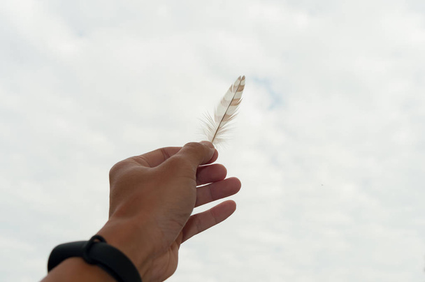 το χέρι κρατώντας ένα φτερό κάτω από τον ουρανό - Φωτογραφία, εικόνα
