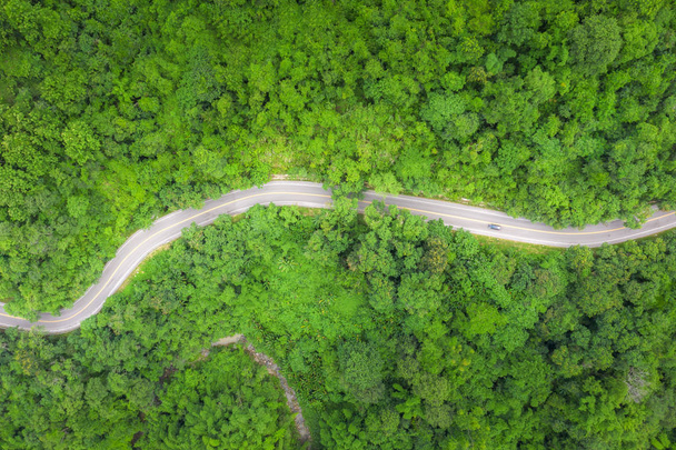 熱帯のライを通過する田舎道の航空写真 - 写真・画像