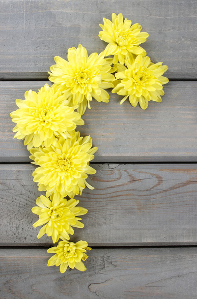 Yellow chrysanthemum on wooden background. Copy space - Valokuva, kuva