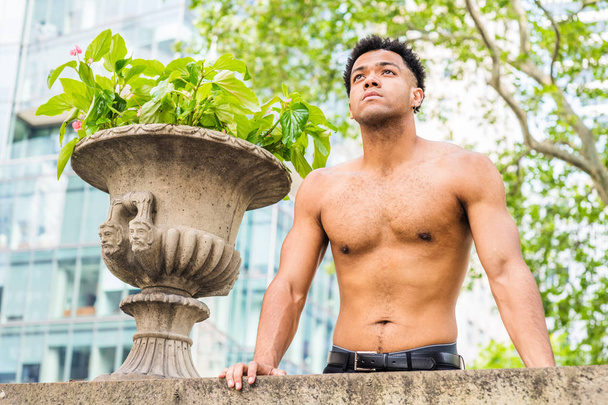 Hot Summer. Young sexy Mix Race American man, half naked, shirtless, showing strong body, standing by flowerpot on top of wall in New York City, looking up, thinking - Photo, Image