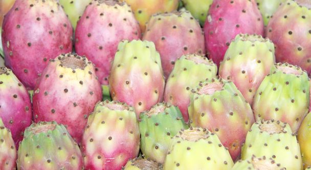 Prickly pears background - Photo, Image