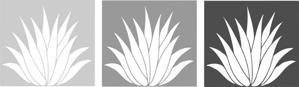 icône aloe vera sur fond blanc
 - Vecteur, image