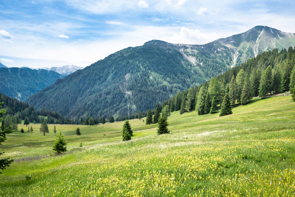 Mountain Range In Austrian Alps In Summer - Foto, afbeelding