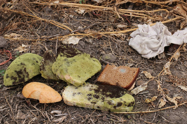 Scheiben schimmeliges Brot. Schimmeliges Brot, auf Müllkippe entsorgt. - Foto, Bild
