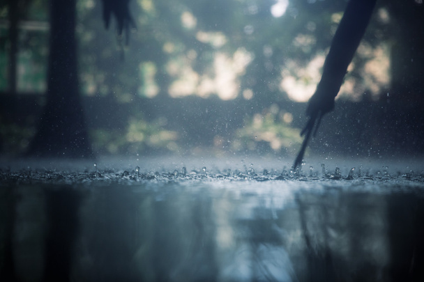 τροπική βροχή - Φωτογραφία, εικόνα