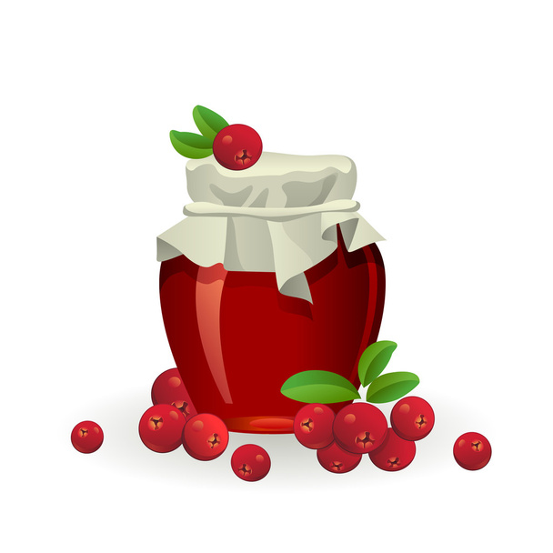 Cranberry jam jar with fresh berry on white - Vector, Image