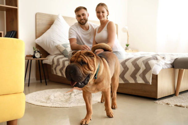 Lindo perro Shar-Pei con los propietarios en el dormitorio
 - Foto, Imagen