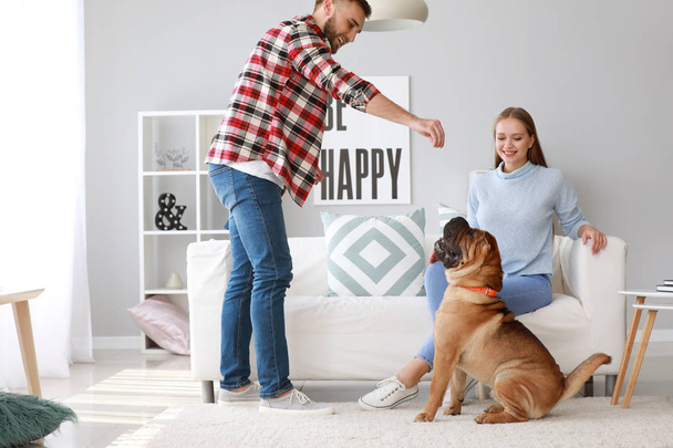 Šťastný pár trénink roztomilej pes doma - Fotografie, Obrázek