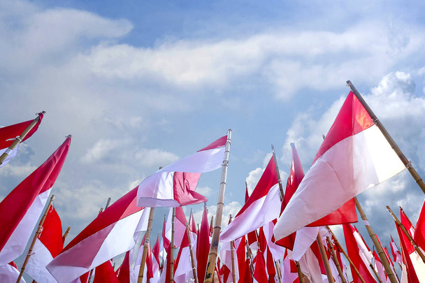 インドネシア国旗、インドネシア独立記念日のメラ・プティ - 写真・画像