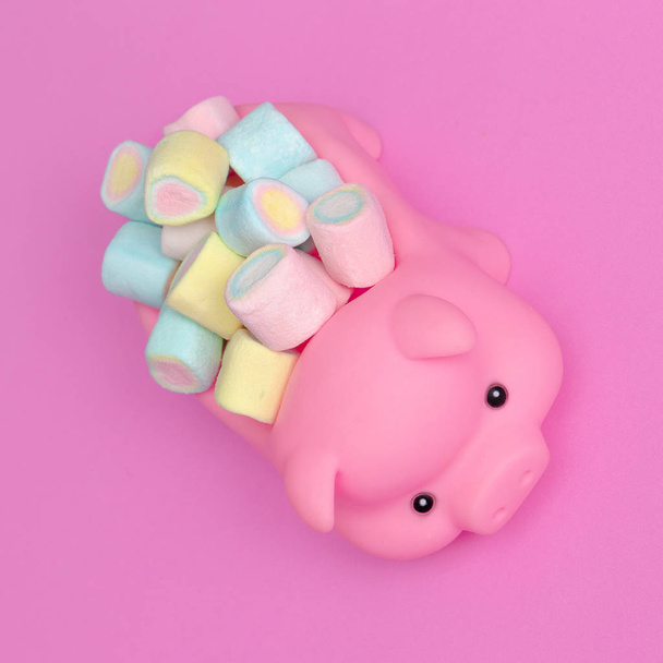 Piglet and Marshmallow . Candy flat lay concept - Фото, зображення