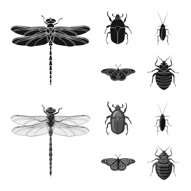 Vector design of insect and fly logo. Collection of insect and element stock symbol for web. - ベクター画像