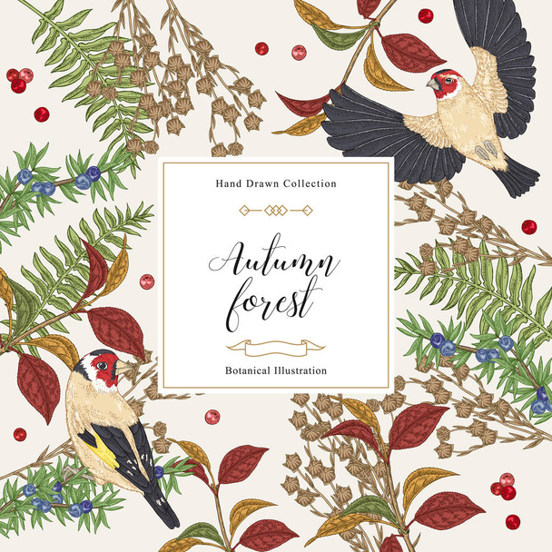 Autumn background with birds and plants. Juniper, ferns, dry flax branches and goldfinches. Hand drawn vector illustration. Colorful vintage engraving. - Vector, Image