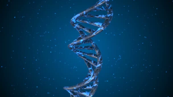 Code ADN. Résumé 3d polygonal wireframe DNA molecule helix spiral. Animation en boucle
. - Séquence, vidéo