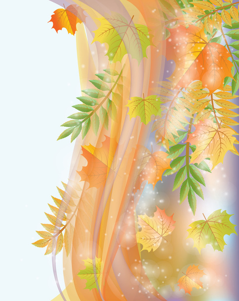 Bandiera autunnale con foglie, illustrazione vettoriale
 - Vettoriali, immagini