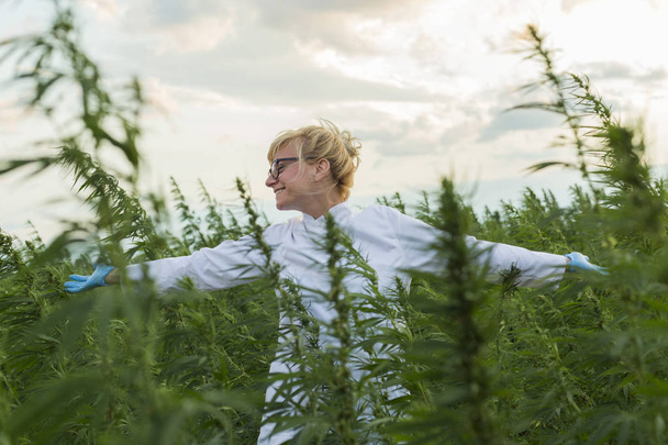 Scientifique sur le champ de marijuana heureux et satisfait des plantes de chanvre CBD. Elle a les mains grandes ouvertes
 - Photo, image