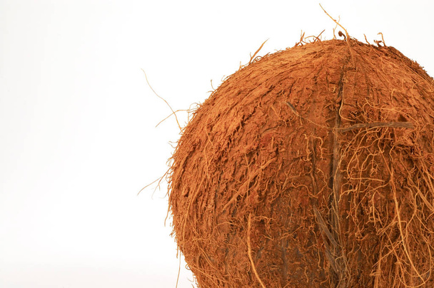 coconut - Zdjęcie, obraz