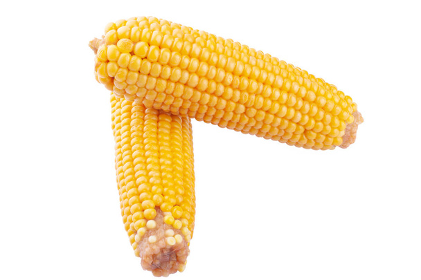 yellow boiled ears of corn on a white background isolate. logo, icon - Photo, Image