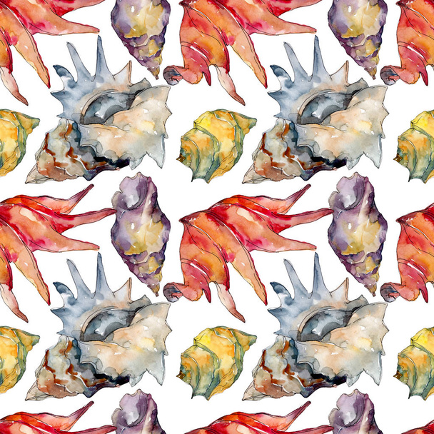 Summer beach seashell tropical elements. Watercolor illustration set. Seamless background pattern. - Fotoğraf, Görsel