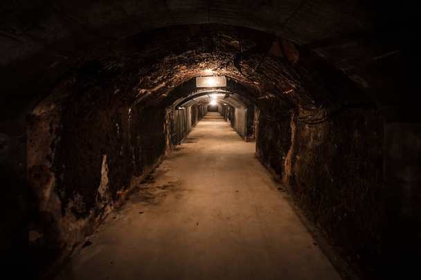 Underground Wine Cellar - Foto, afbeelding