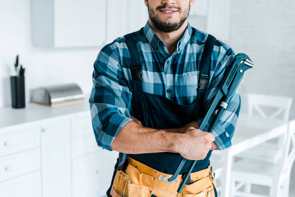 cropped view of happy handyman holding tool  - Zdjęcie, obraz
