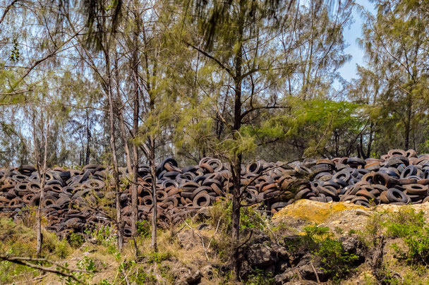 Şehir yakınlarındaki doğada eski lastiklerin deşarjı  - Fotoğraf, Görsel