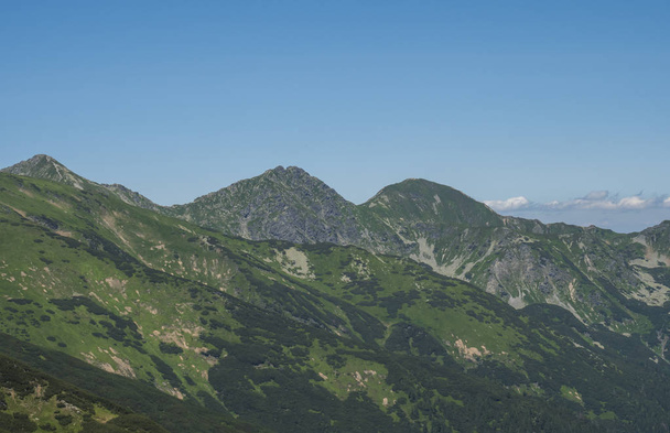 Paesaggio montano dei monti Tatra occidentali o Rohace con vista sulla pasticceria rohac due cime dal sentiero escursionistico su Baranec. Picchi rocciosi erbosi verdi taglienti con pino della macchia e fiore alpino
 - Foto, immagini