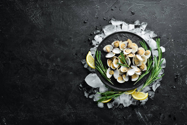 Boiled clams with spices in a plate. Seafood on black background. Top view. Free copy space. - 写真・画像