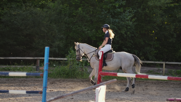 Professioneel meisje Rider galopperen op een paard. Meisje paardrijden een paard op een arena bij zonsondergang. Horse Hoof creëert veel stof. Competitieve Rider training Jumping - Video