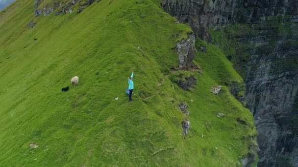 空中の若い女性ハイカーは、腕を上げ、無限の海を見て草の山の端に立っています。豊満な腕と北欧の海の風景と陽気な女性の息をのむショット - 映像、動画