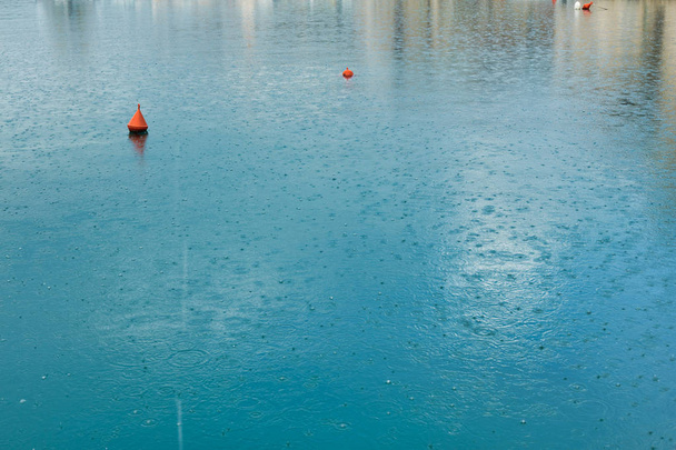 Капли дождя на поверхности воды в гавани
 - Фото, изображение