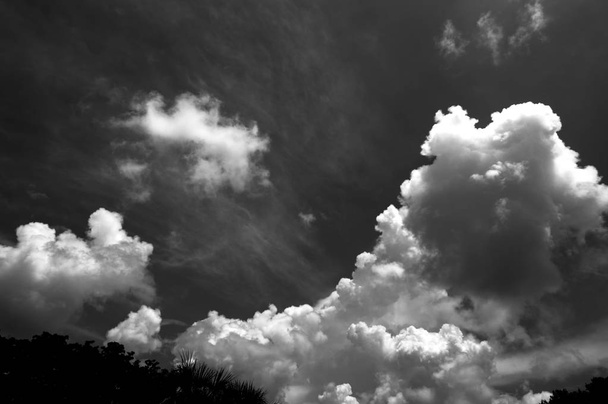 ég tele drámai felhők fa tetejét - Fotó, kép