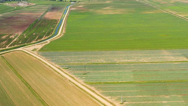 Agricultural land with green crops from above - Photo, Image
