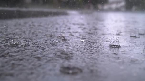 LENT MOTION FERMER : Automne gouttes d'eau de pluie tombant dans la grande flaque d'eau sur l'asphalte, inondant la rue. Inondations routières dues aux fortes pluies en saison des pluies. Des gouttes de pluie tombent sur une route submergée
 - Séquence, vidéo