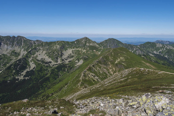 Bellissimo paesaggio montano dei monti Tatra occidentali o Rohace con sentiero escursionistico su crinale. Picchi rocciosi erbosi verdeggianti con macchia di pino e prato di fiori alpini. Estate cielo blu
 - Foto, immagini