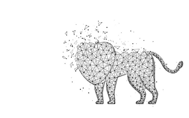 Lion low poly design, animal africain image géométrique abstraite, chat sauvage treillis métallique illustration vectorielle polygonale faite à partir de points et de lignes sur fond blanc
 - Vecteur, image
