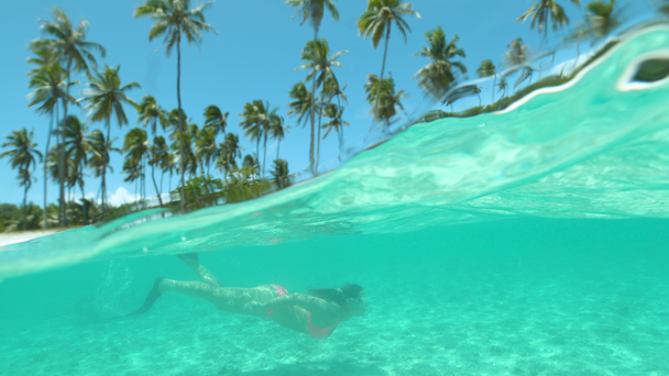 Slow Motion, Half Underwater, Dof: Γυναίκα τουρίστρια σε διακοπές στη Γαλλική Πολυνησία καταδύσεις στον θεαματικό ωκεανό κοντά στη γραφική παραλία φοίνικα. Νεαρή γυναίκα κολυμπά κατά μήκος τροπικής αμμώδους παραλίας. - Πλάνα, βίντεο