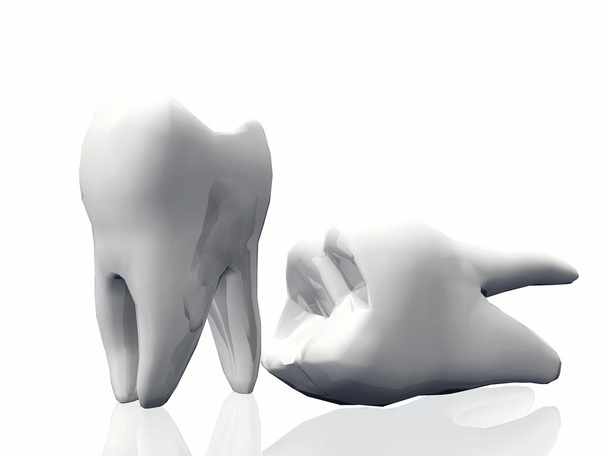 Los dientes molares sobre un fondo blanco
 - Foto, Imagen