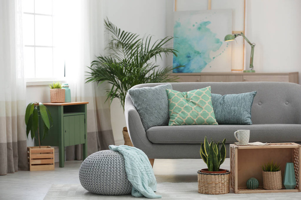 Living room interior with green houseplants and sofa - Фото, зображення