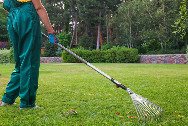 Woman raking green lawn at backyard. Home gardening - Foto, afbeelding