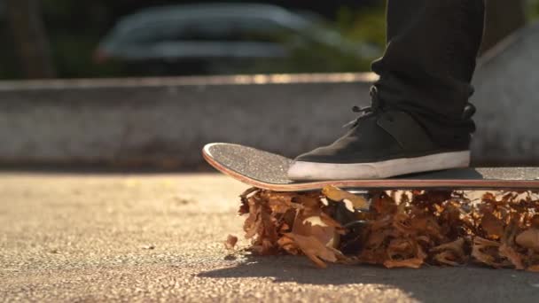 SLOW MOTION, CLOSE UP: Unrecognizable man rides his skateboard over the orange fall leaves on the concrete pavement in a sunny city. Unknown young skater skates through a pile of colorful leaves. - Footage, Video