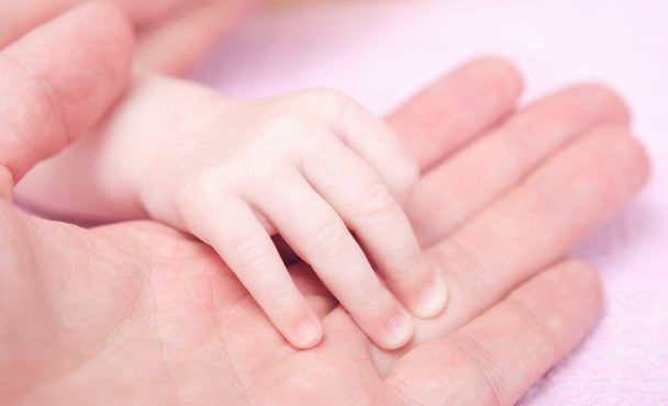 Baby Hand - Photo, Image