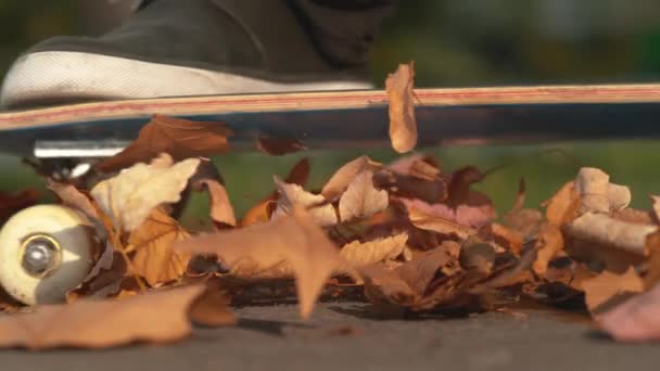 Slow Motion, Macro, Dof: Αγνώριστος άνθρωπος πατάει πάνω σε ένα σωρό από πολύχρωμα φθινοπωρινά φύλλα σε μια ηλιόλουστη μέρα στην πόλη. Κινηματογραφική άποψη του skateboarder τροχαίο πάνω από τα φύλλα στο άδειο πεζοδρόμιο άσφαλτο. - Πλάνα, βίντεο