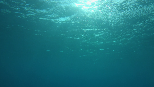 SLOW MOTION, UNDERWATER, POV: Swimming to the glimmering surface of the emerald ocean before drowning. Bright sunbeams shine through the glassy waves rolling past the camera submerged in emerald sea. - Footage, Video
